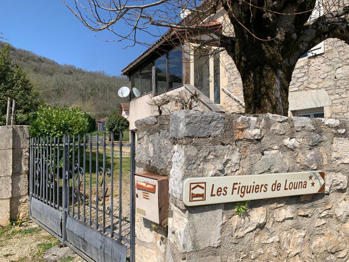 Les Figuiers De Louna - Pierre Ensoleillee - 110 M2 Et Une Veranda Saint-Gery  Luaran gambar